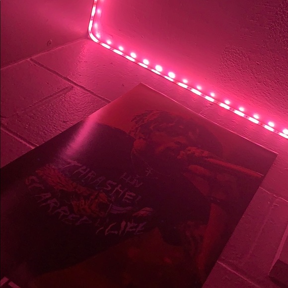 Meet your Posher, Garrett - Picture 1 of 1